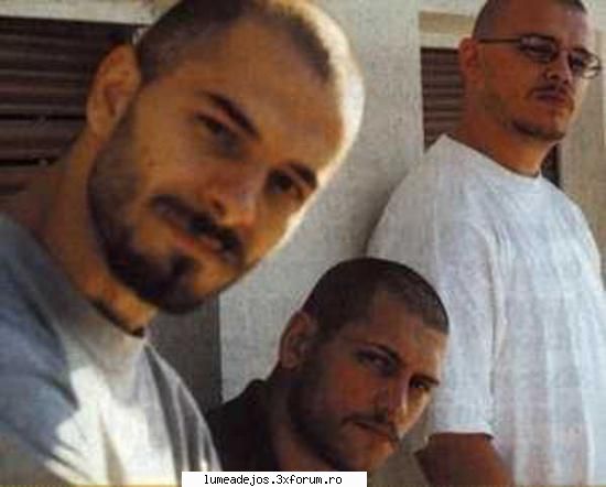 b.u.g. mafia- petrece (remix) mp3